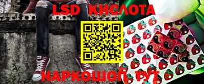 крисы Нальчик
