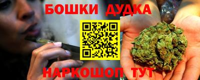 крисы Нальчик