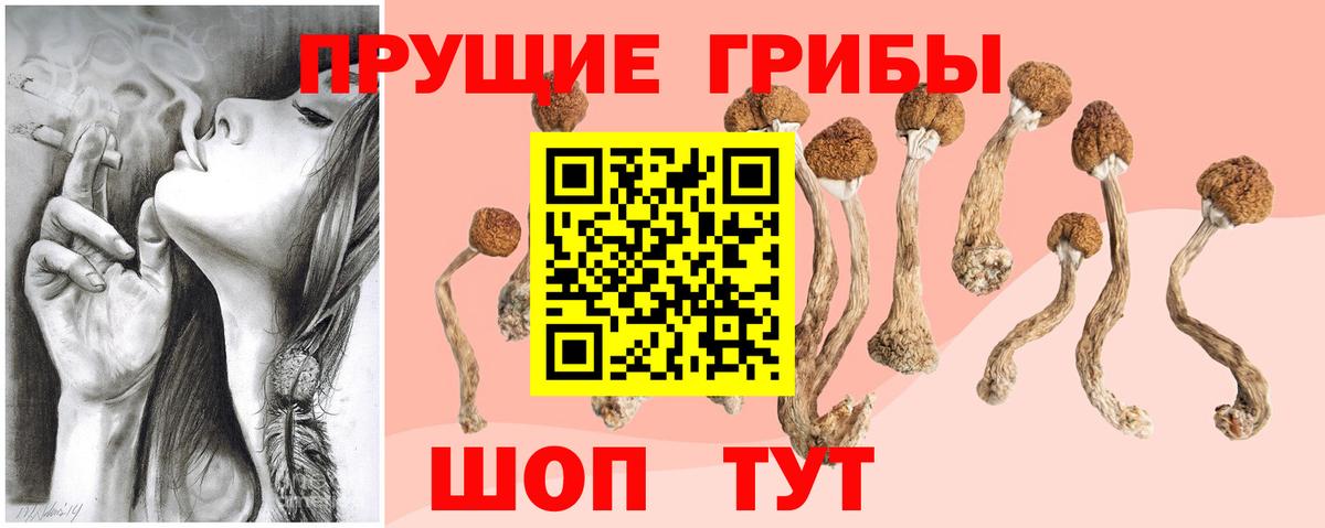 цена наркотик  Псилоцибиновые грибы Cubensis  Вход с VPN  Ухта 